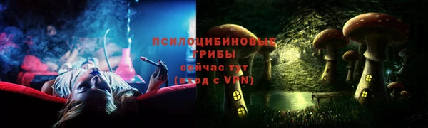 мдпв Медвежьегорск