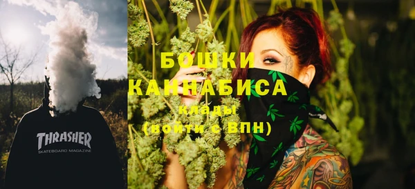 шишки Майский