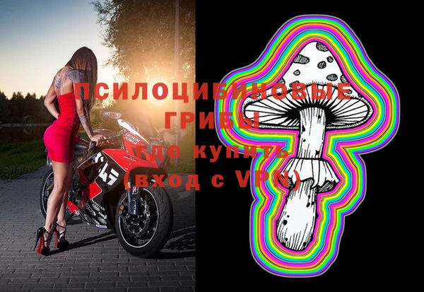 мдпв Медвежьегорск