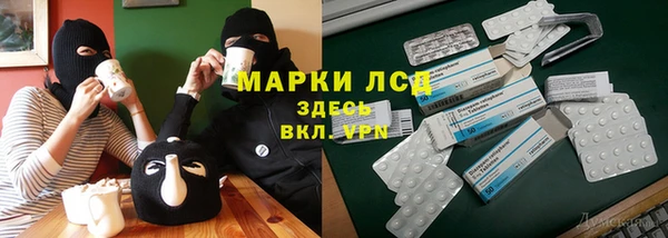 шишки Майский